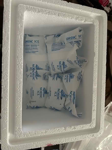 Photo of free 2 Sm cooler & 6 ice packs (West Townsend) #1