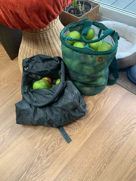 Photo of free Cooking apples (Bramley?) (Hoddesdon, EN11) #1