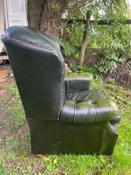 Photo of free Green leather armchair (West Malling ME19 6) #4