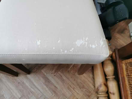 Photo of free Dining Chairs (Portchester) #2