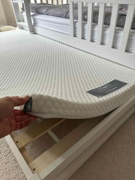 Photo of free Single eco foam mattress (CR0) #1