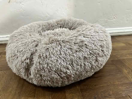 Photo of free Cat/Dog bed (Koreatown) #1