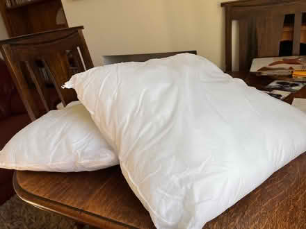 Photo of free 8 New cushion inserts (Burgess Hill) #1