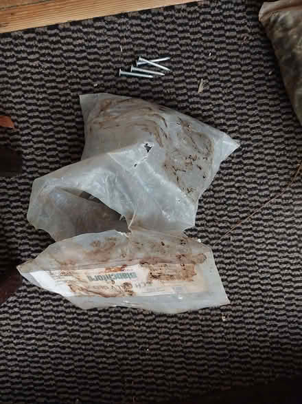 Photo of free 1 bag of nuts and bolts + 1 bag of galvanised nails (Osney OX2) #1