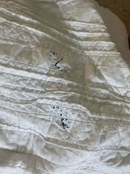 Photo of free Worn Out Bed Quilt (Brookland, DC) #2