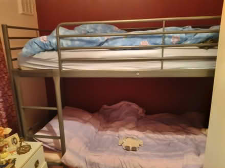 Photo of free Set of Ikea bunk beds (Torbay) #1