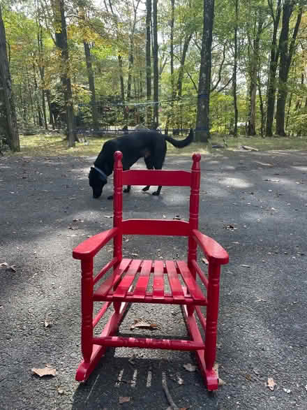 Photo of free Little kids rocking chair (Tuxedo, NY) #1