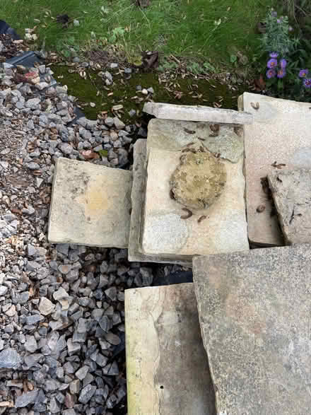 Photo of free Paving slabs (Cumnor OX2) #3