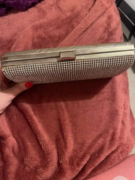 Photo of free Silver Sparkly Clutch Bag (Southfields SW18) #3