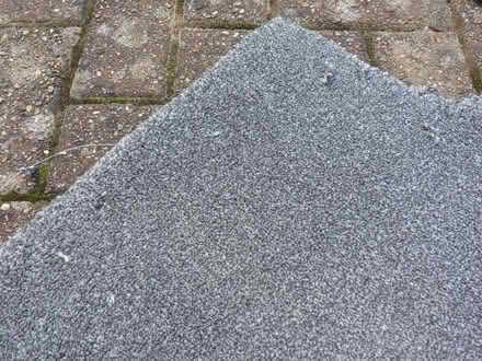 Photo of free Carpet (Chislehurst Road Petts Wood) #2