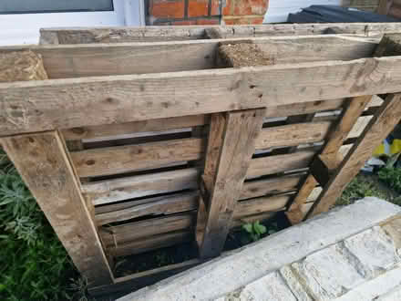 Photo of free Wooden Pallets (N15 next to Chestnuts Park) #1