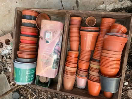 Photo of free Plastic plant pots, various (Aldridge) #1