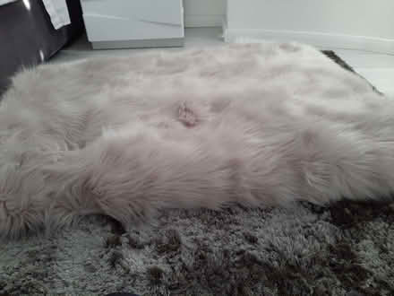 Photo of free Faux fur throw from NEXT. (Tottenham N18) #2