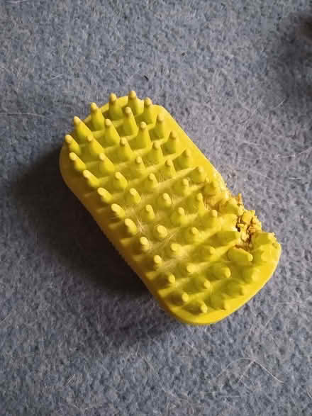 Photo of free Dog de-shedding brush (Canonmills EH3) #1