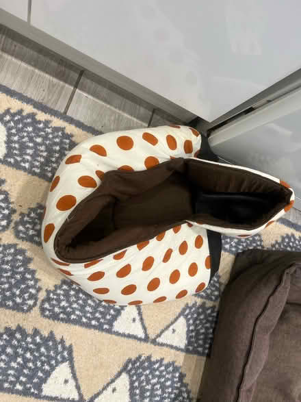 Photo of free Dog beds (Bletchley MK2) #1