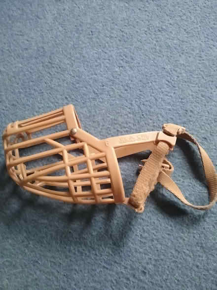 Photo of free Dog muzzle - Baskerville classic size 6 (Canonmills EH3) #1