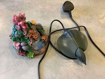 Photo of free Fish filter and ornament (Chorley SK9) #1
