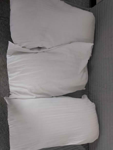 Photo of free 3 pillows (Drumcondra) #1