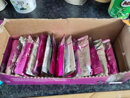 Photo of free Cat food and biscuits (Hollingbury BN1) #4