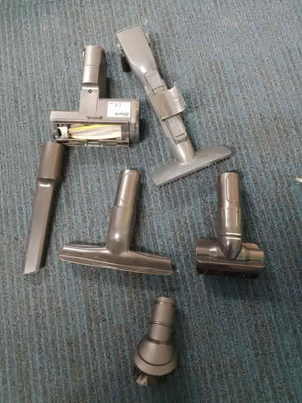 Photo of free Shark bits (AB24) #1