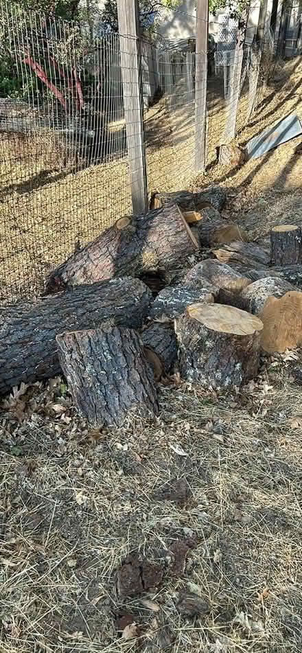 Photo of free Firewood (Ukiah) #1