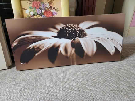 Photo of free Canvas pictures (S2 Heeley) #1