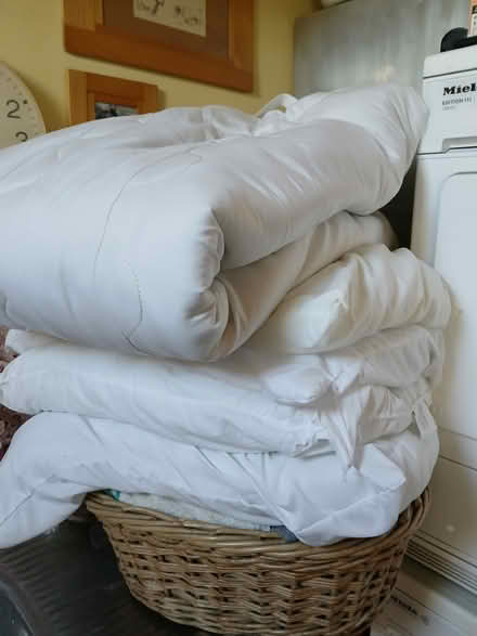 Photo of free Pilllows and mattress topper (Woolverton BA2) #1