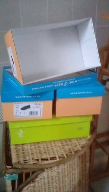 Photo of free Empty Shoe Boxes (New Forest National Park SO51) #1