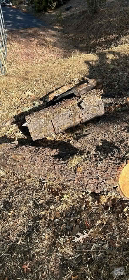 Photo of free Firewood (Ukiah) #2