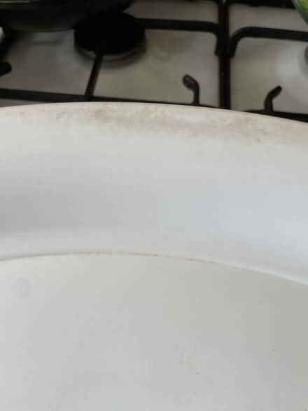 Photo of free Used Plastic tray oval not perfect (Se288 8fx) #2