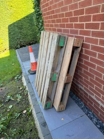 Photo of free Pallets (Bubbenhall CV8) #1