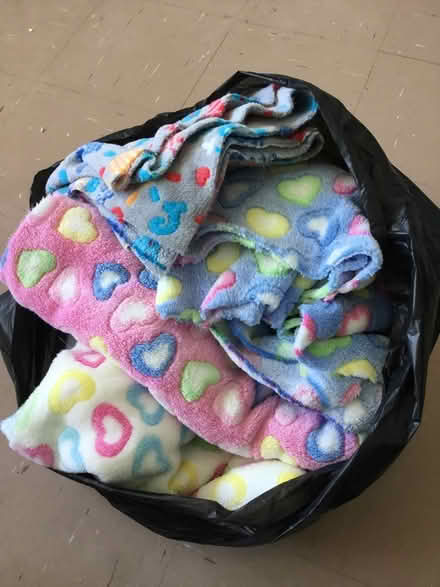 Photo of free Bag of fleece fabric (SG1) #1