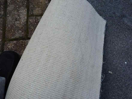 Photo of free Carpet (Chislehurst Road Petts Wood) #3