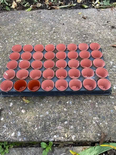 Photo of free Plastic plant pots, various (Aldridge) #2
