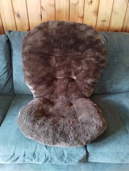 Photo of free Brown cushion (Sloatsburg) #2