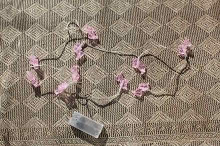 Photo of free Unicorn lights (Eynsham OX29) #1
