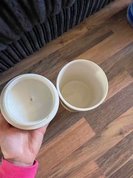 Photo of free Cat treats jar (Braintree CM7) #3