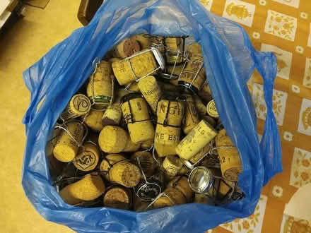 Photo of free Carrier bag of used wine corks (Stokegorse SY7) #1