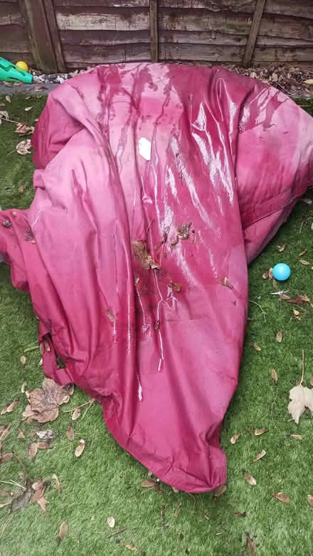 Photo of free Outdoor beanbag (Blackheath SE3) #1