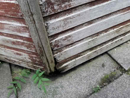 Photo of free Wooden greenhouse, needs repair (Caldecott OX14) #2