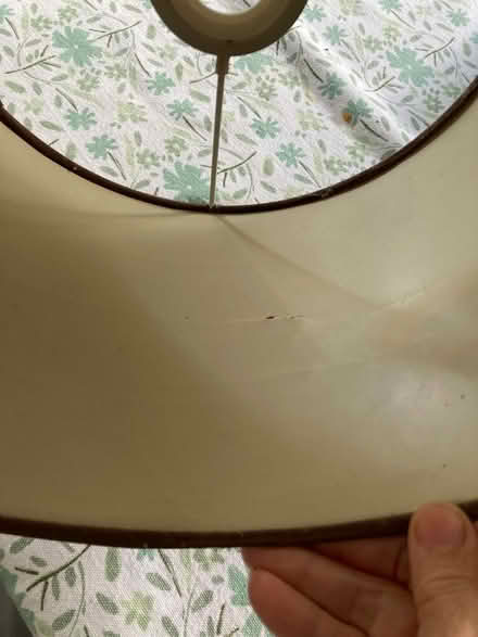 Photo of free Basic brown lamp shade (Langley Court BR3) #4