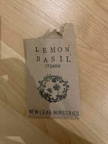 Photo of free Lemon basil seeds (SE1) #1