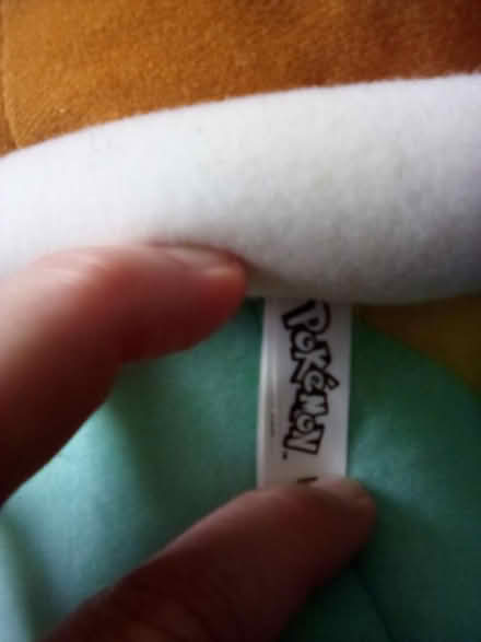 Photo of free Pokemon Squirtle 50cm plushie (Shepherds Bush W12) #4