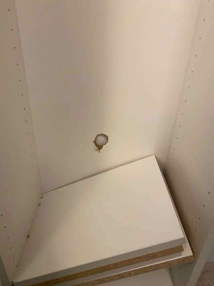 Photo of free Billy Bookcase (Brookland, DC) #3