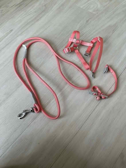 Photo of free Cat Stuff (KT11) #4