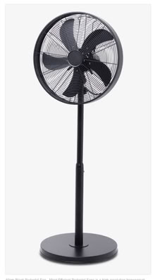 Photo of free black pedestal fan (Belsize Park NW3) #1