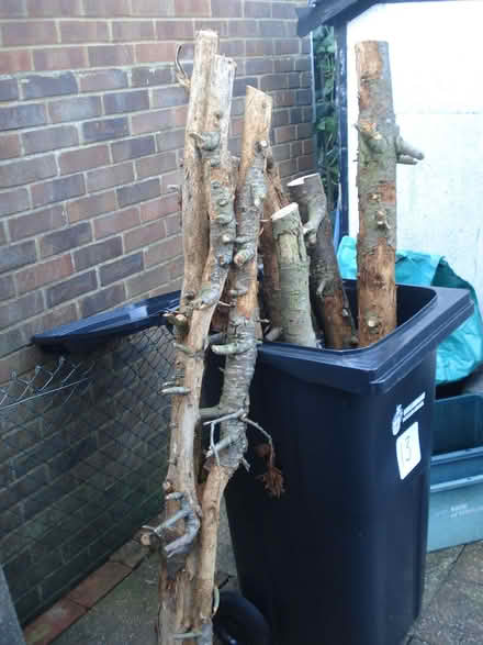 Photo of free Logs (Woodley RG5) #1