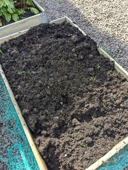 Photo of free Soil (Spalding) #1