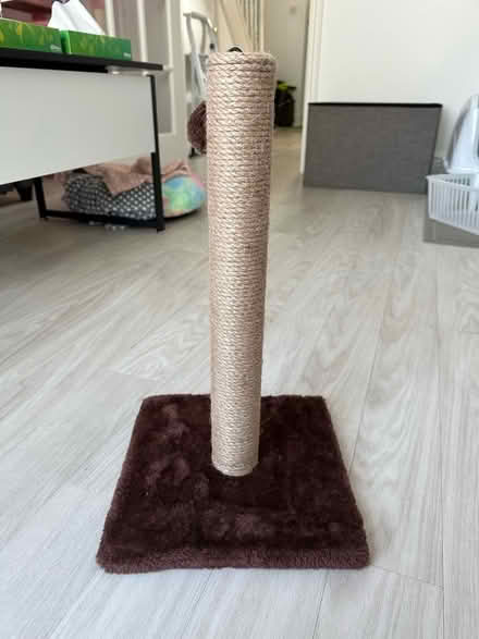 Photo of free Cat Stuff (KT11) #1
