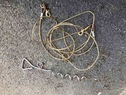 Photo of free Dog Tie Out and Chain (Chapeltown S35) #1
